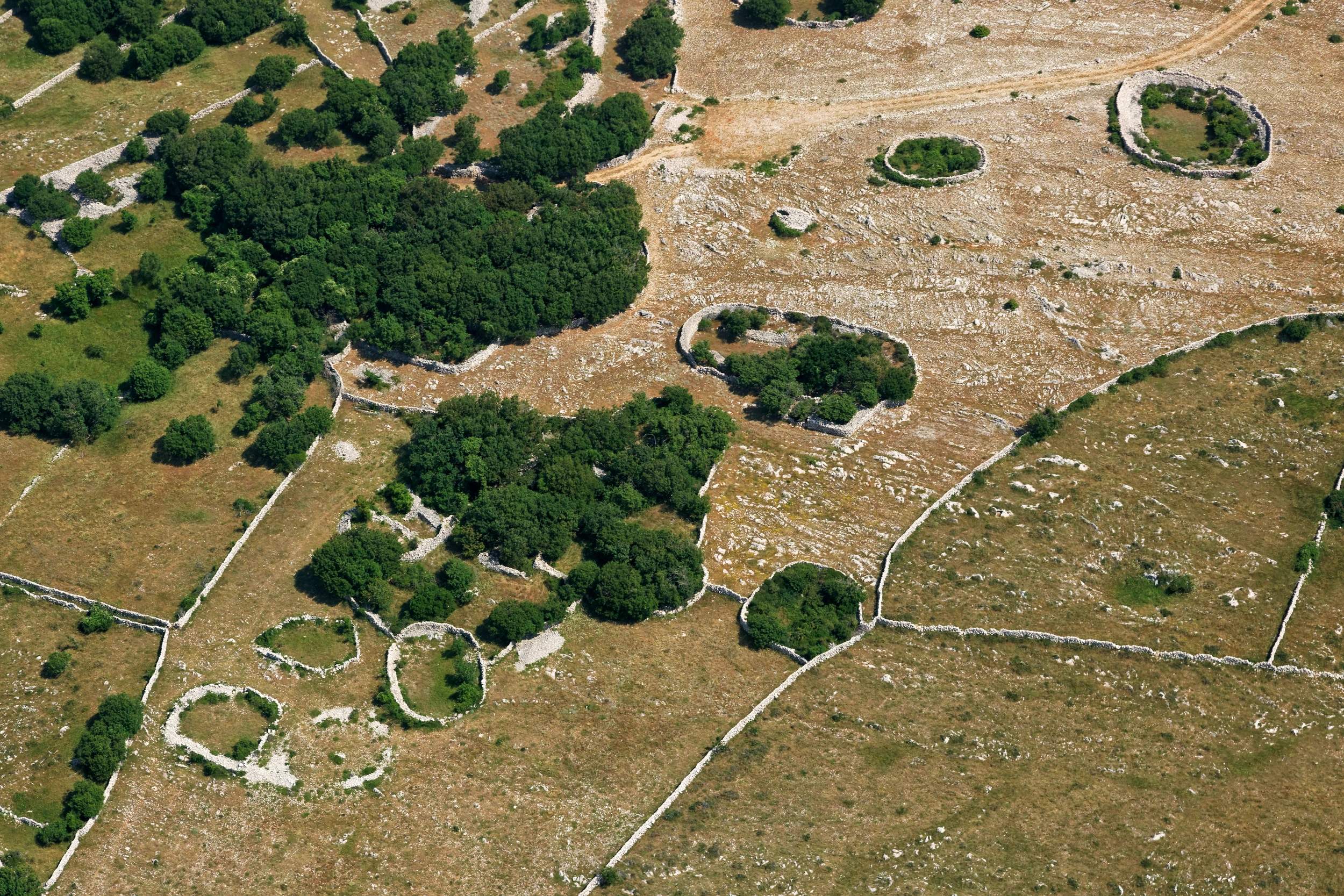Valorisation des fonciers avec CDI